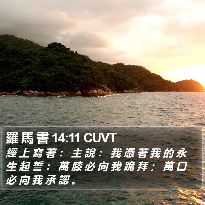 羅 馬 書 14:11 CUVT Bible Study