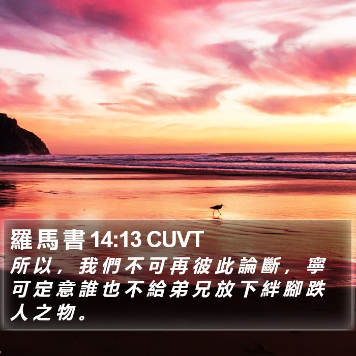 羅 馬 書 14:13 CUVT Bible Study