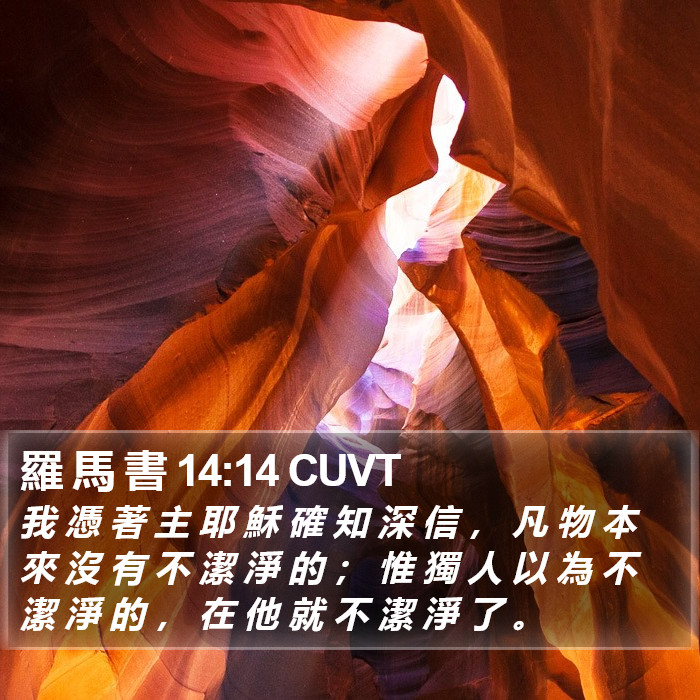羅 馬 書 14:14 CUVT Bible Study