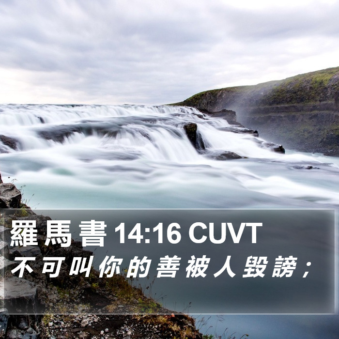 羅 馬 書 14:16 CUVT Bible Study
