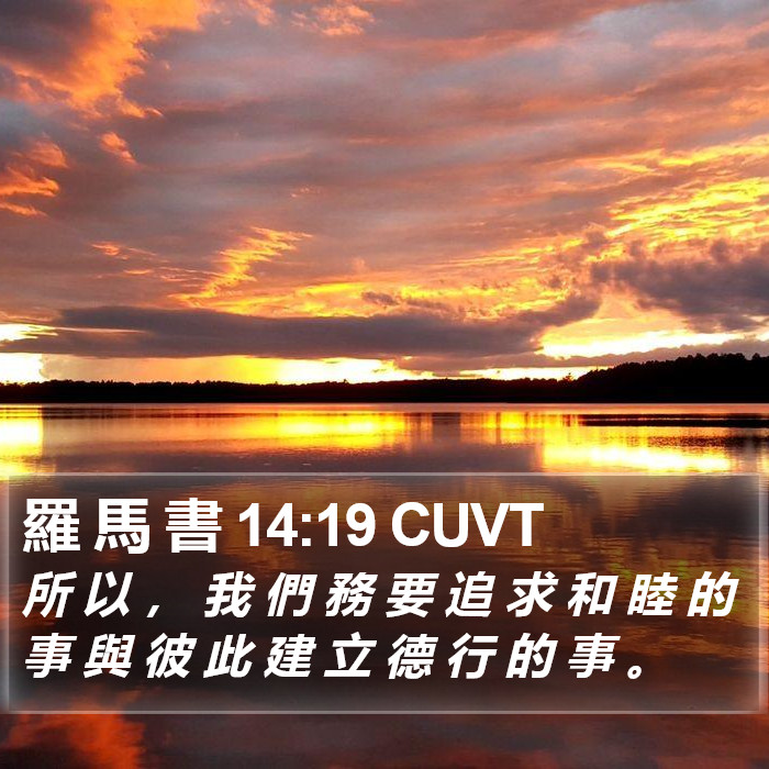 羅 馬 書 14:19 CUVT Bible Study