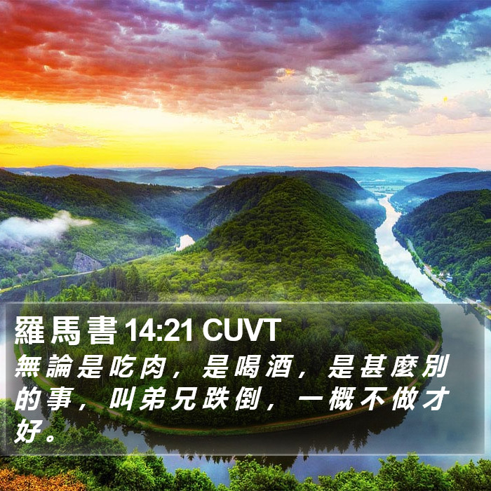 羅 馬 書 14:21 CUVT Bible Study