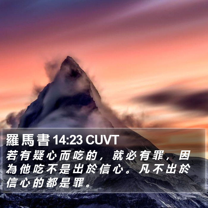 羅 馬 書 14:23 CUVT Bible Study