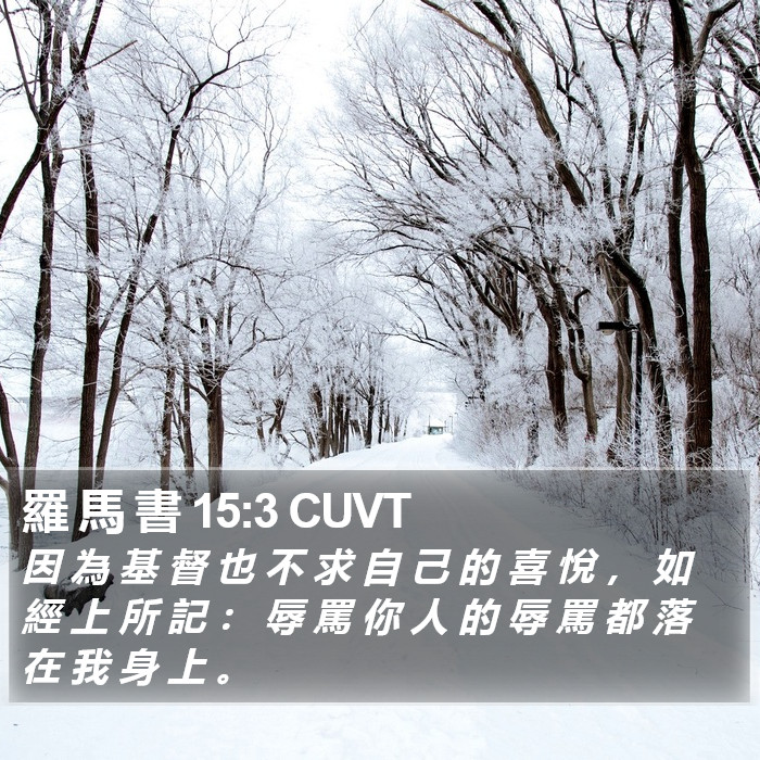 羅 馬 書 15:3 CUVT Bible Study