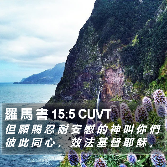 羅 馬 書 15:5 CUVT Bible Study