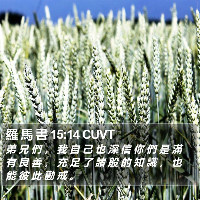 羅 馬 書 15:14 CUVT Bible Study
