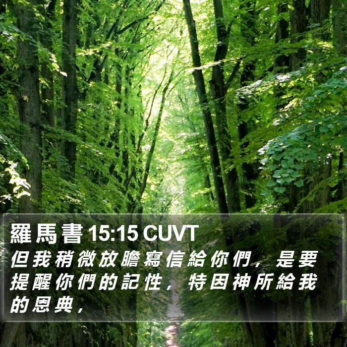 羅 馬 書 15:15 CUVT Bible Study