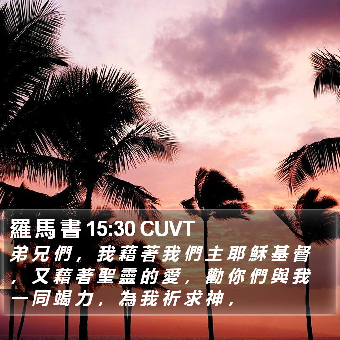 羅 馬 書 15:30 CUVT Bible Study
