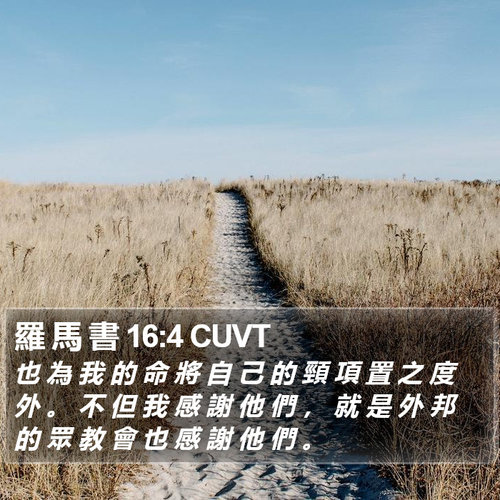 羅 馬 書 16:4 CUVT Bible Study