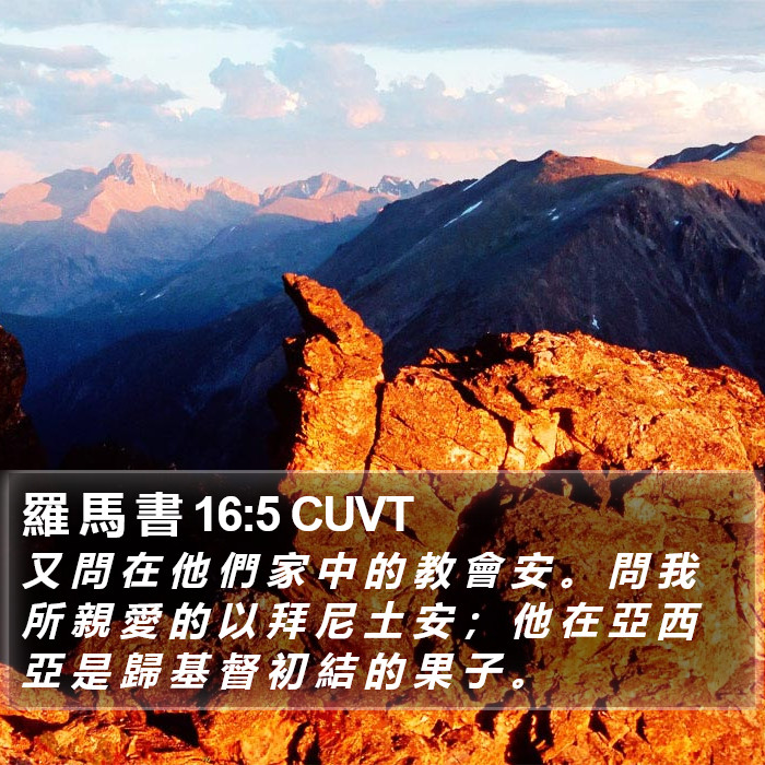 羅 馬 書 16:5 CUVT Bible Study