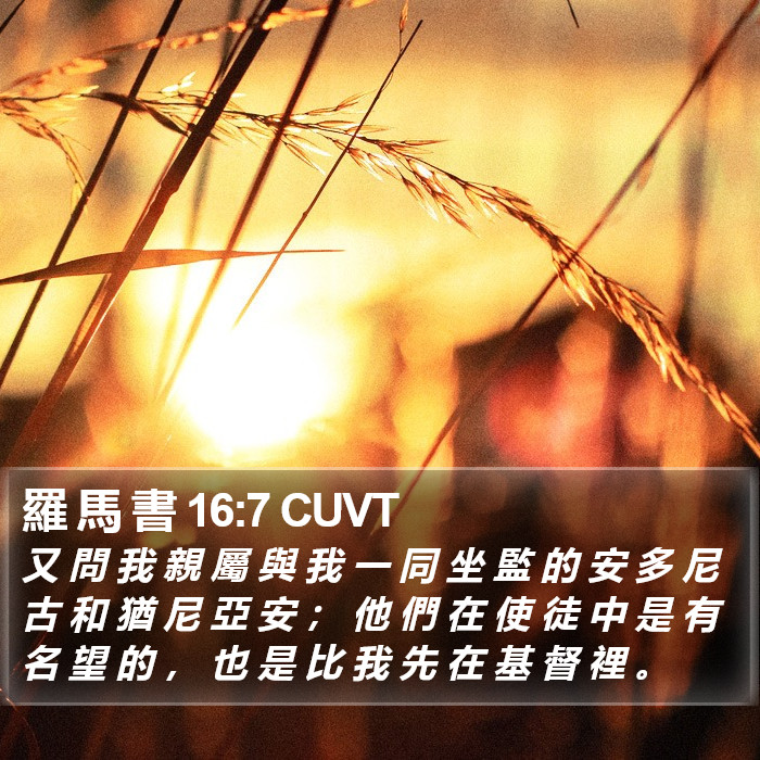 羅 馬 書 16:7 CUVT Bible Study