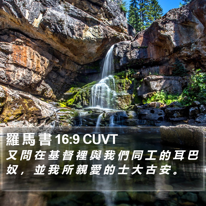 羅 馬 書 16:9 CUVT Bible Study