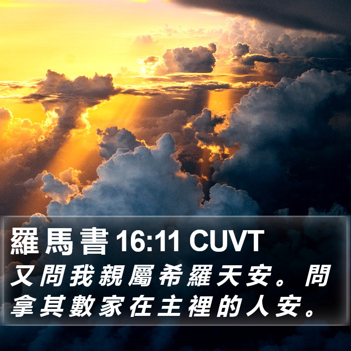 羅 馬 書 16:11 CUVT Bible Study