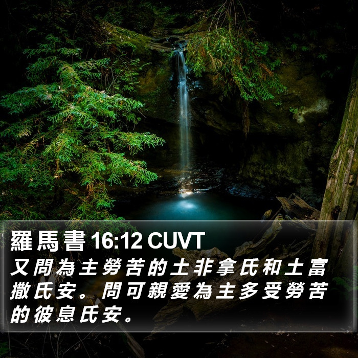 羅 馬 書 16:12 CUVT Bible Study