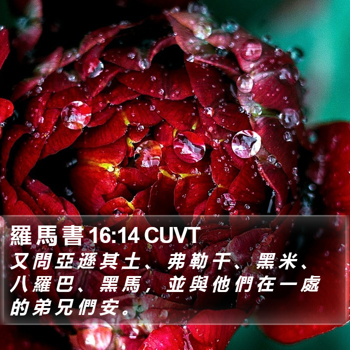 羅 馬 書 16:14 CUVT Bible Study