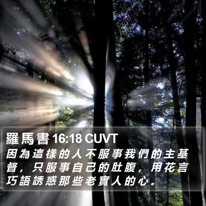 羅 馬 書 16:18 CUVT Bible Study