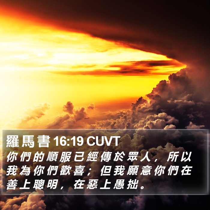 羅 馬 書 16:19 CUVT Bible Study