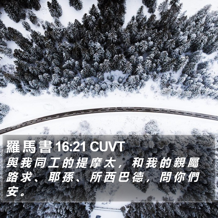 羅 馬 書 16:21 CUVT Bible Study