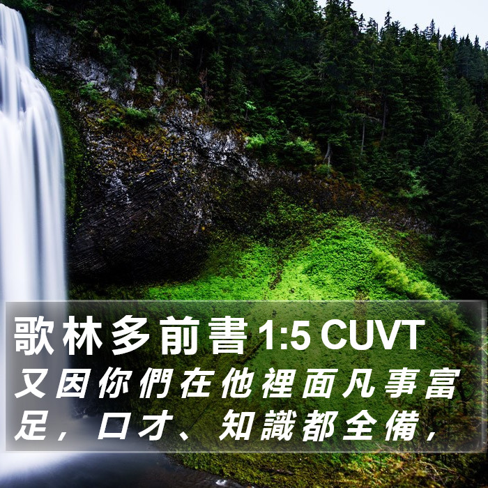 歌 林 多 前 書 1:5 CUVT Bible Study