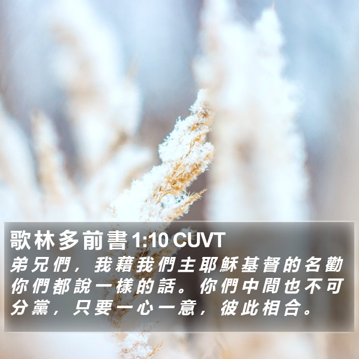 歌 林 多 前 書 1:10 CUVT Bible Study