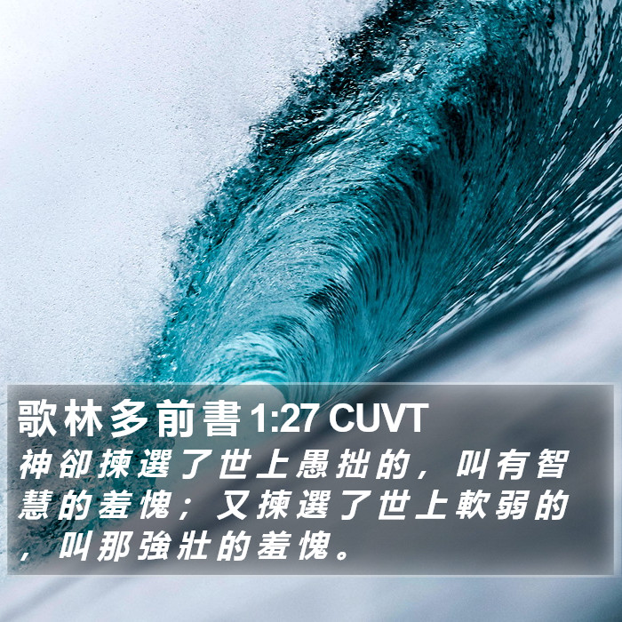 歌 林 多 前 書 1:27 CUVT Bible Study