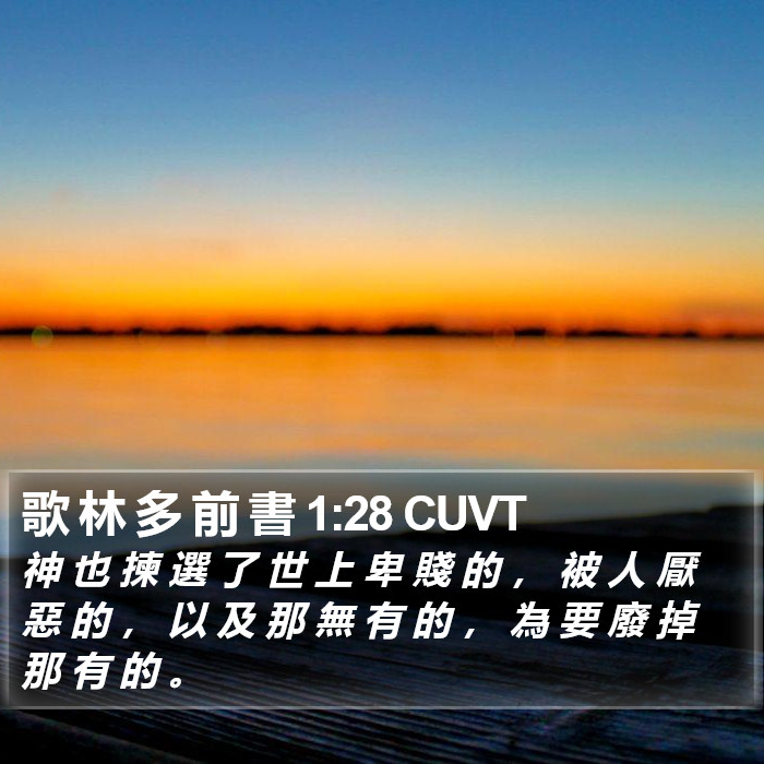 歌 林 多 前 書 1:28 CUVT Bible Study