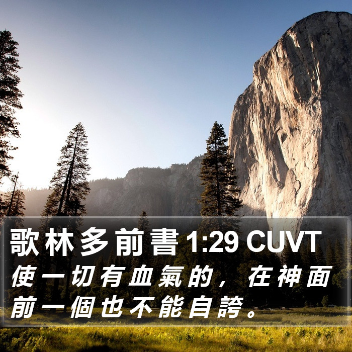 歌 林 多 前 書 1:29 CUVT Bible Study