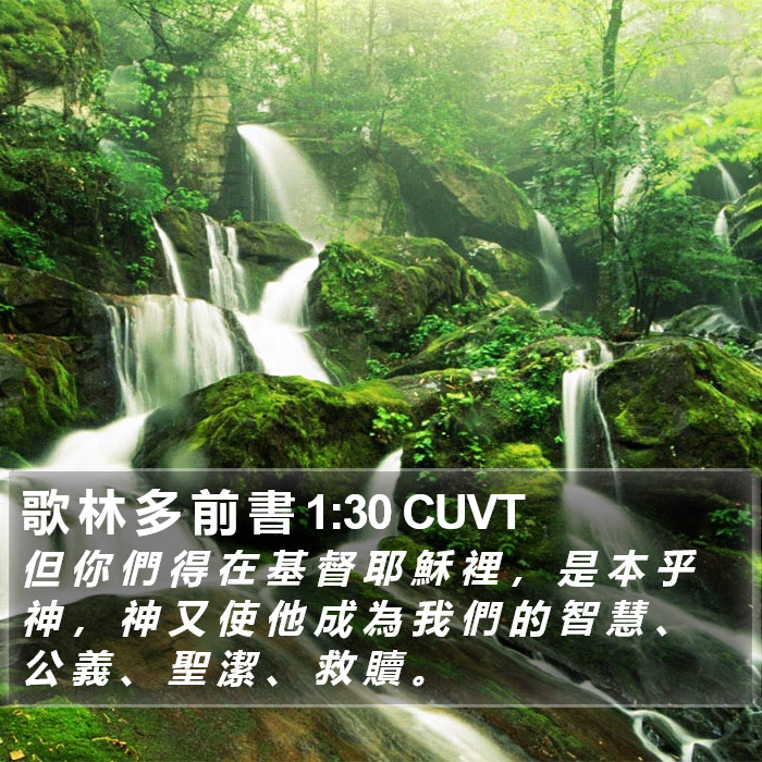 歌 林 多 前 書 1:30 CUVT Bible Study