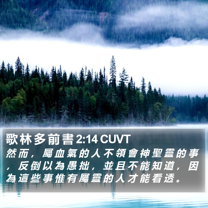 歌 林 多 前 書 2:14 CUVT Bible Study