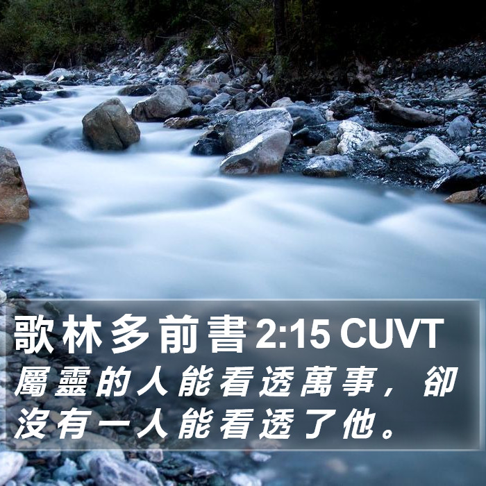 歌 林 多 前 書 2:15 CUVT Bible Study