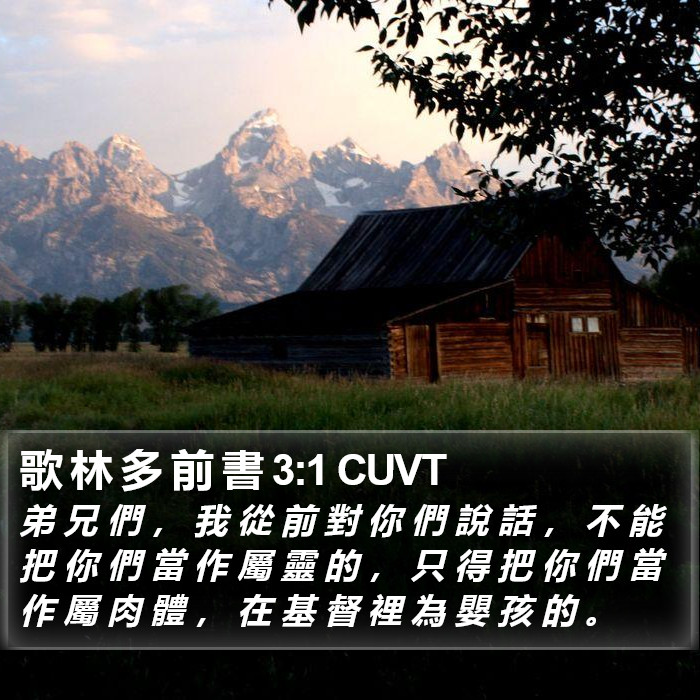 歌 林 多 前 書 3:1 CUVT Bible Study