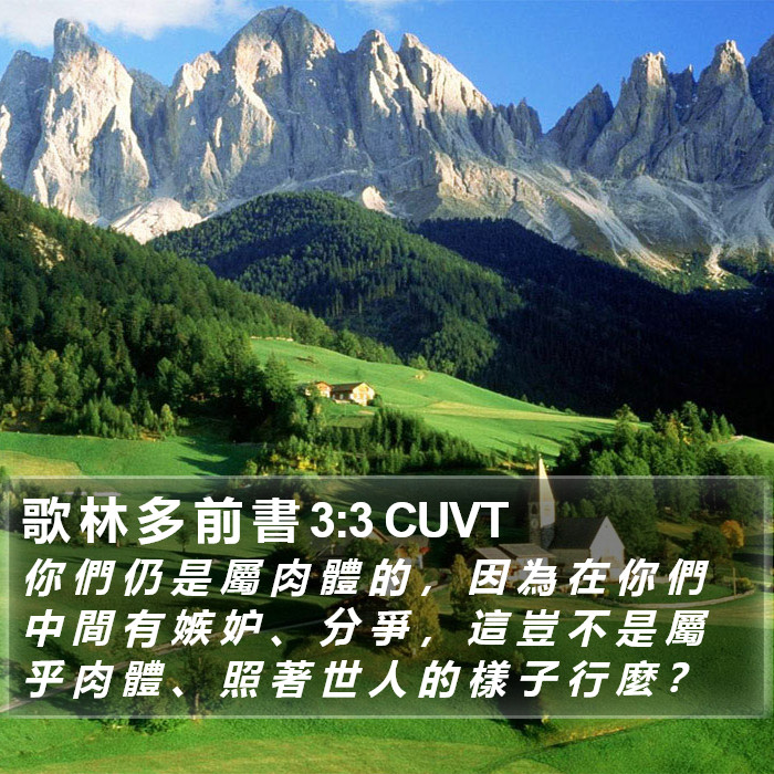 歌 林 多 前 書 3:3 CUVT Bible Study