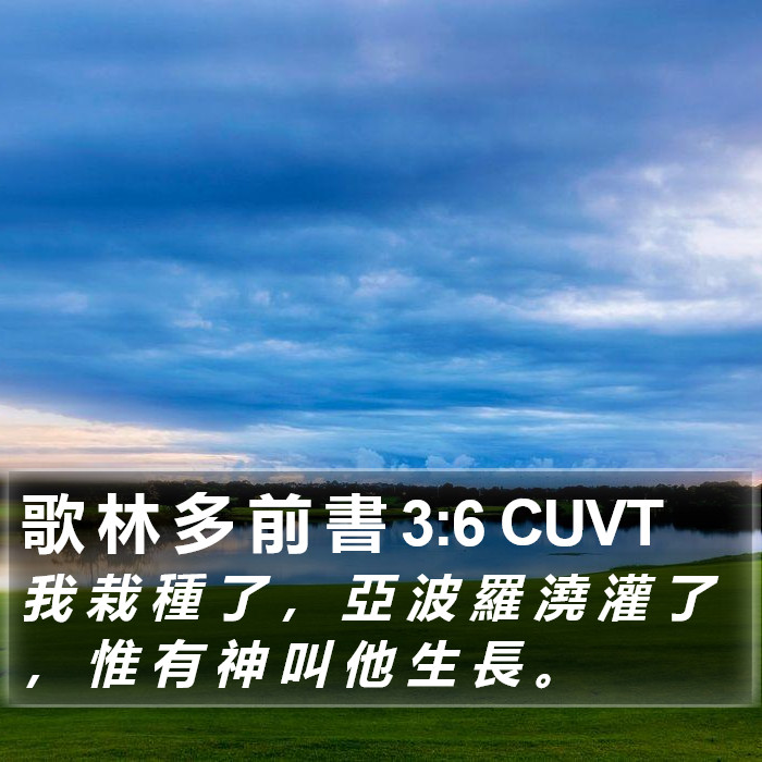 歌 林 多 前 書 3:6 CUVT Bible Study