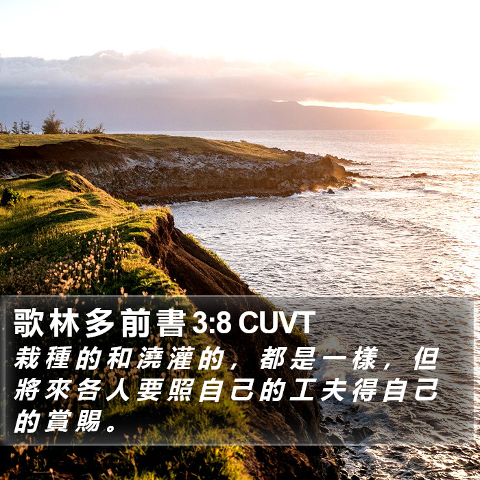 歌 林 多 前 書 3:8 CUVT Bible Study