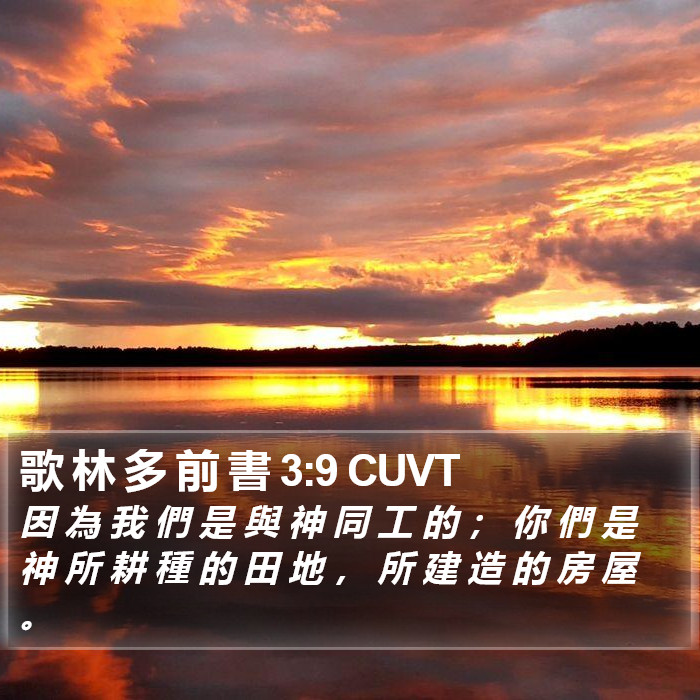 歌 林 多 前 書 3:9 CUVT Bible Study