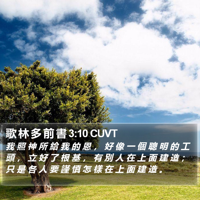 歌 林 多 前 書 3:10 CUVT Bible Study