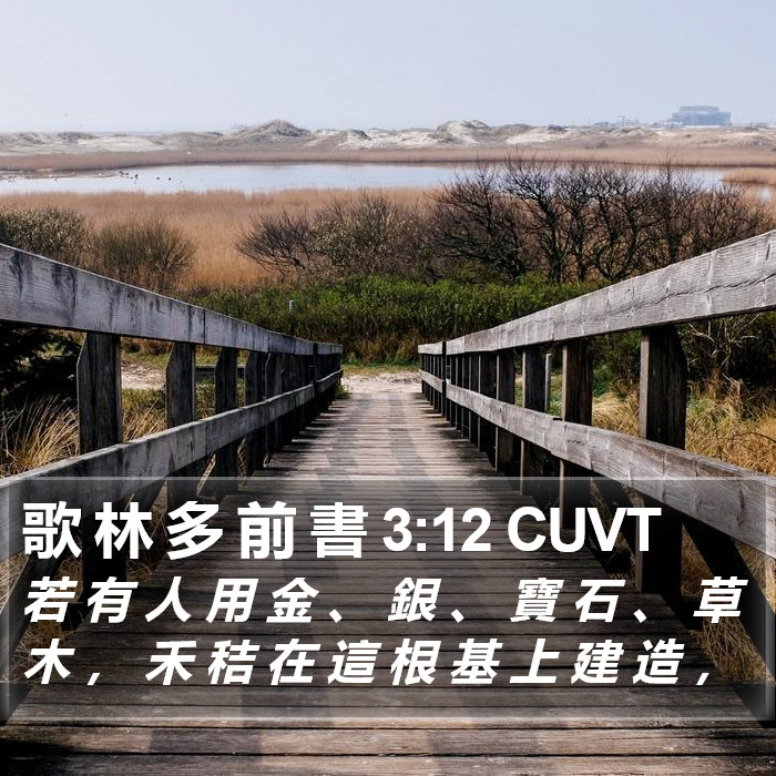 歌 林 多 前 書 3:12 CUVT Bible Study