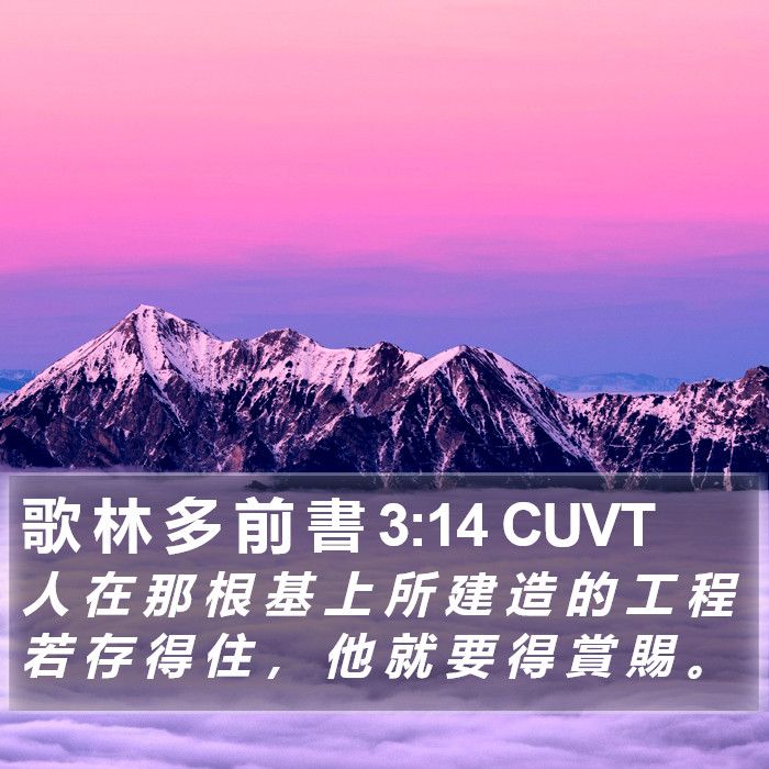 歌 林 多 前 書 3:14 CUVT Bible Study