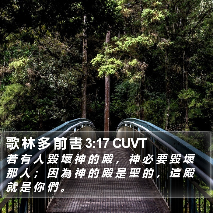 歌 林 多 前 書 3:17 CUVT Bible Study