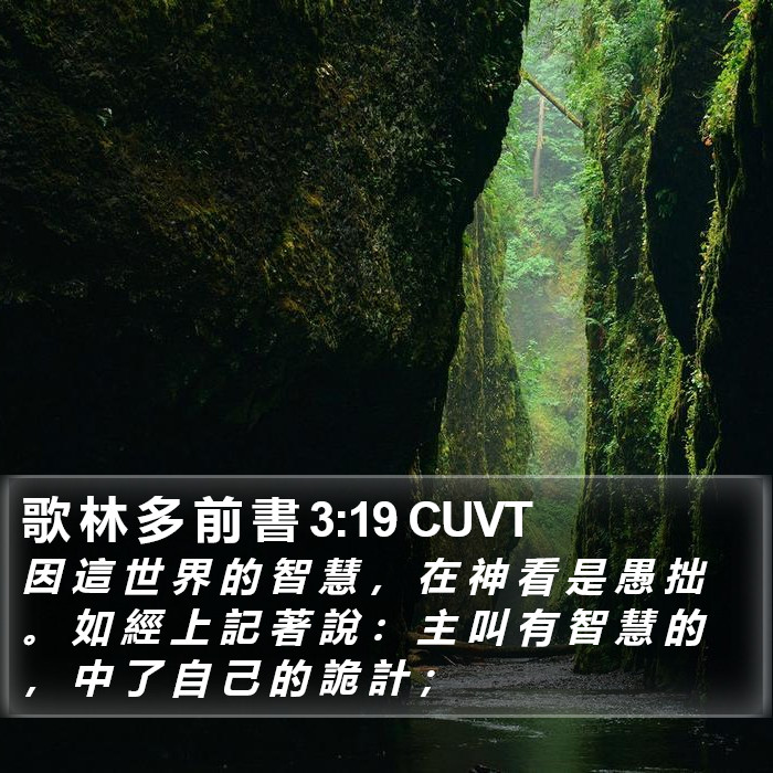 歌 林 多 前 書 3:19 CUVT Bible Study