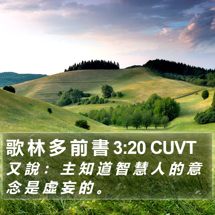 歌 林 多 前 書 3:20 CUVT Bible Study