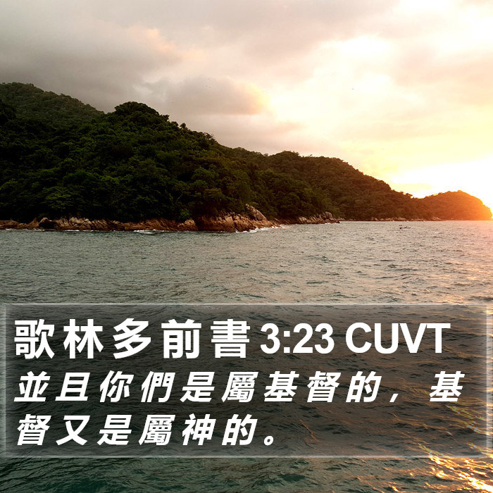 歌 林 多 前 書 3:23 CUVT Bible Study