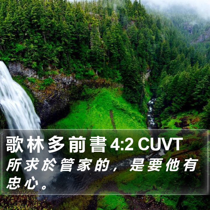 歌 林 多 前 書 4:2 CUVT Bible Study
