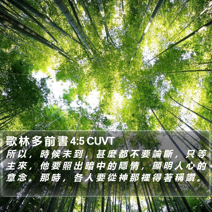 歌 林 多 前 書 4:5 CUVT Bible Study