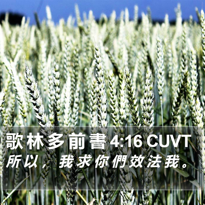 歌 林 多 前 書 4:16 CUVT Bible Study