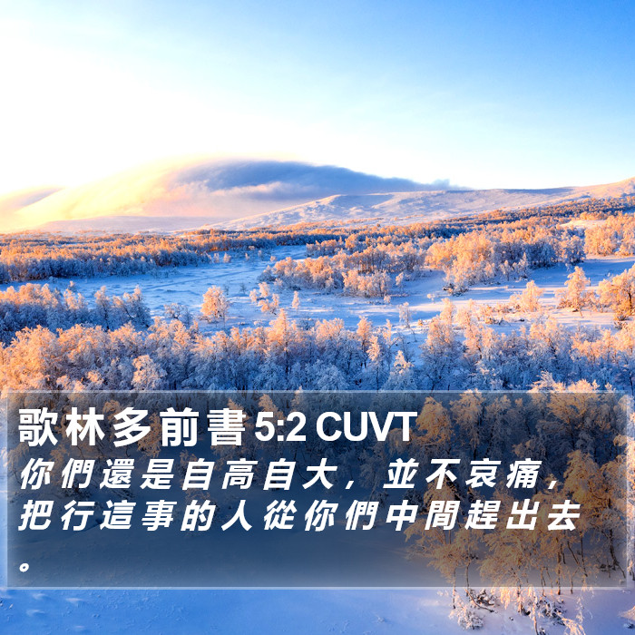 歌 林 多 前 書 5:2 CUVT Bible Study