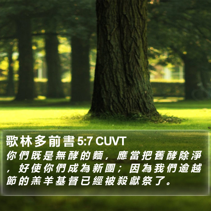 歌 林 多 前 書 5:7 CUVT Bible Study