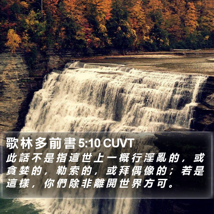 歌 林 多 前 書 5:10 CUVT Bible Study