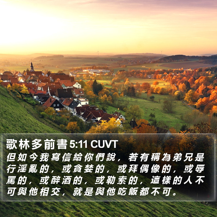 歌 林 多 前 書 5:11 CUVT Bible Study