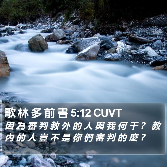 歌 林 多 前 書 5:12 CUVT Bible Study